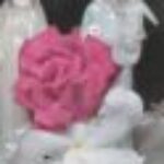 Profile photo of ashan2222
