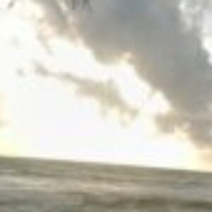Profile photo of akhi