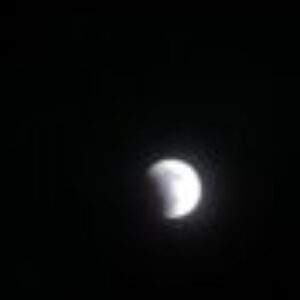 Profile photo of ruk