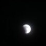 Profile photo of ruk