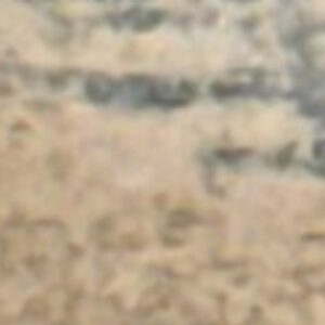 Profile photo of Kapila