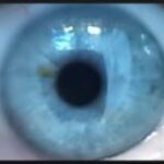 Profile photo of Blue_eyed_dom