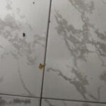 Profile photo of funny