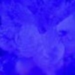 Profile photo of Dilan_UK