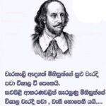 Profile photo of surya