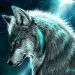 Profile photo of SilverFox