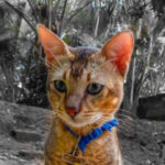 Profile photo of wl3