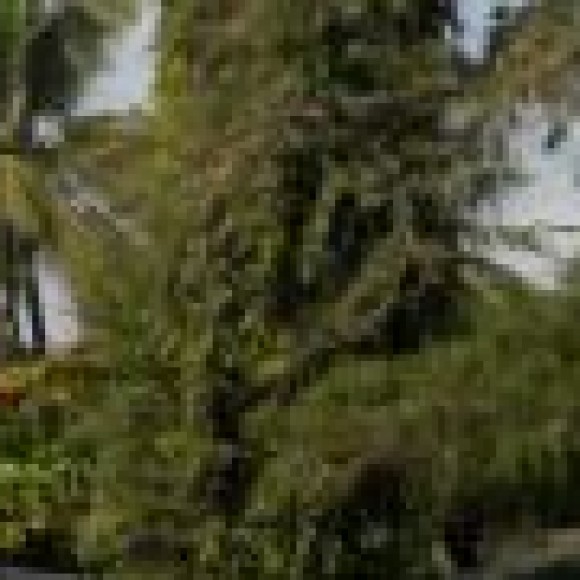 Profile picture of sandaru jayathilaka