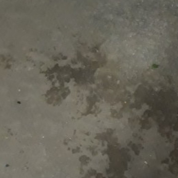 Profile picture of nike