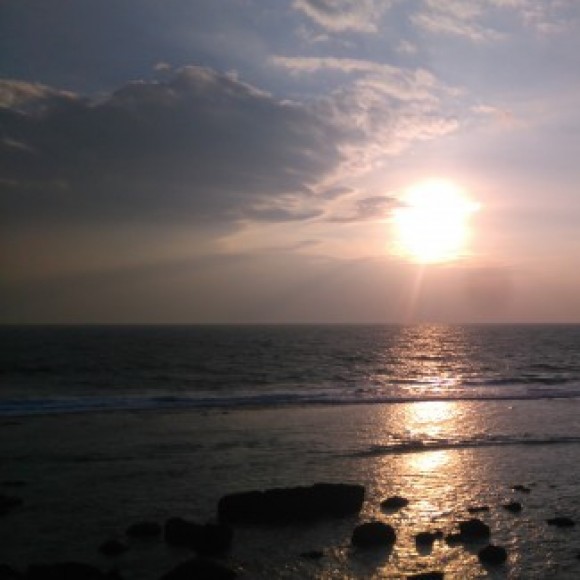 Profile picture of Wishi