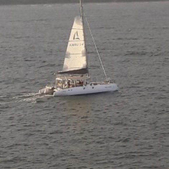 Profile photo of Siril Malli