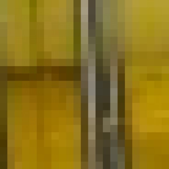 Profile photo of chanaka sanjeewa (only female )