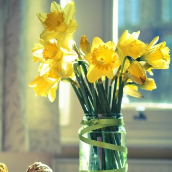 Profile photo of Supun Chamikara