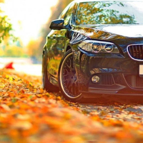 Profile picture of Lakshan