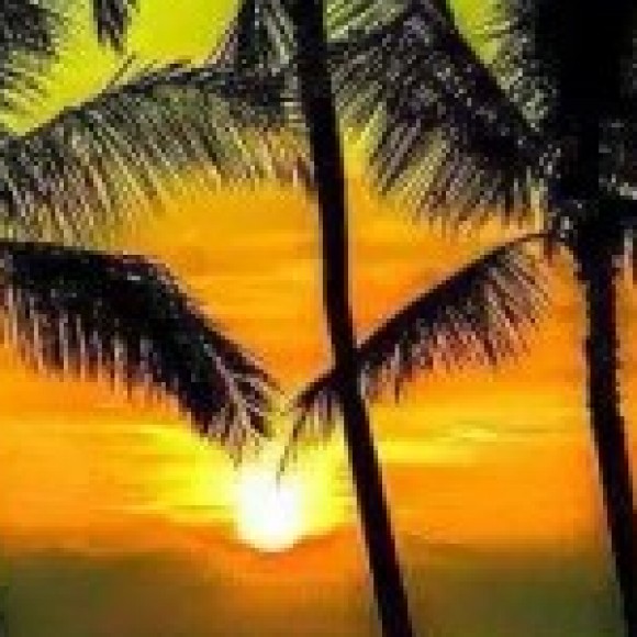 Profile picture of aruna