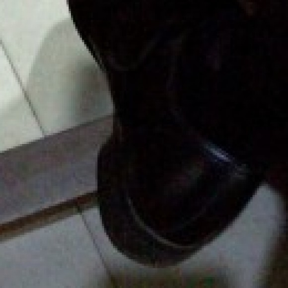 Profile photo of Aneesha