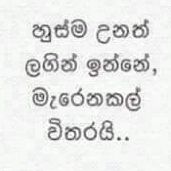 Profile photo of Sudath kumara
