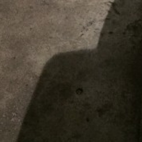 Profile photo of Shane3333