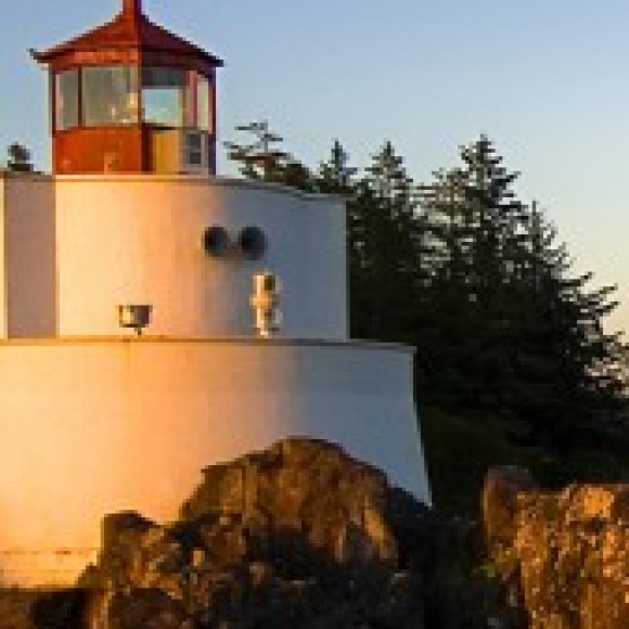 Profile picture of Madusanka