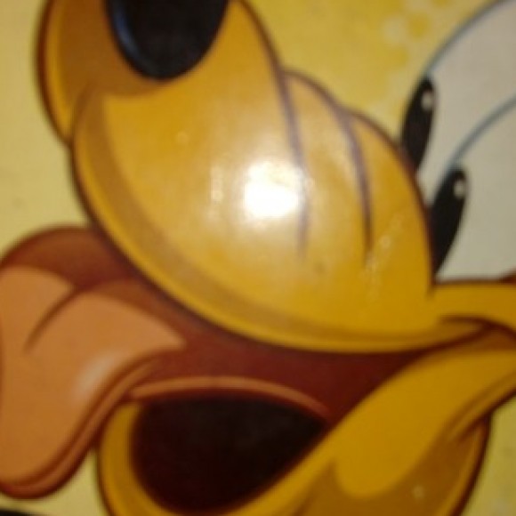 Profile picture of Dhanushka Sampath