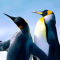 Profile photo of Gamlath