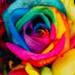 Profile picture of Richerd