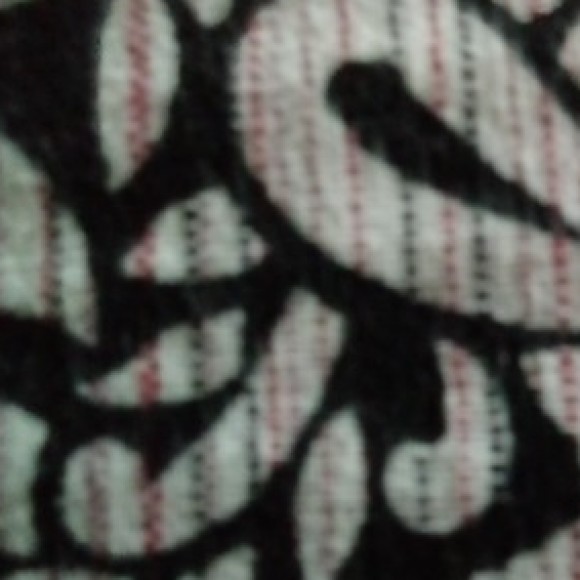 Profile photo of Lankapvap