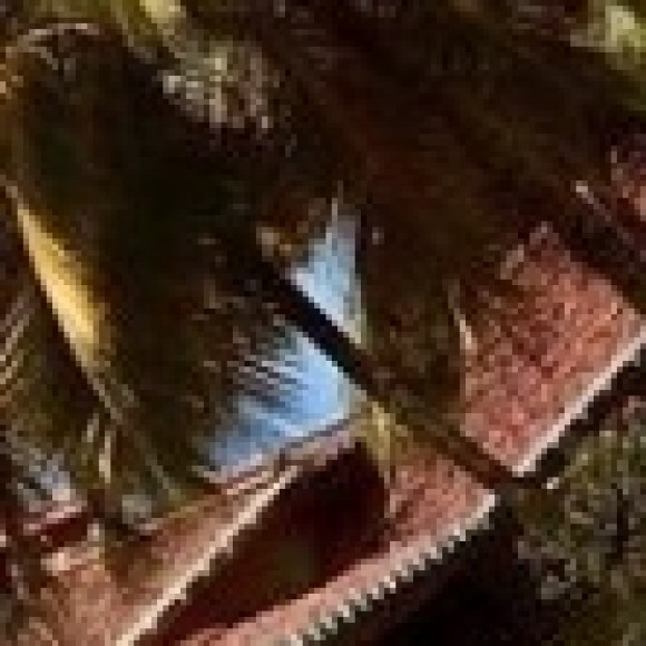 Profile picture of Avishka