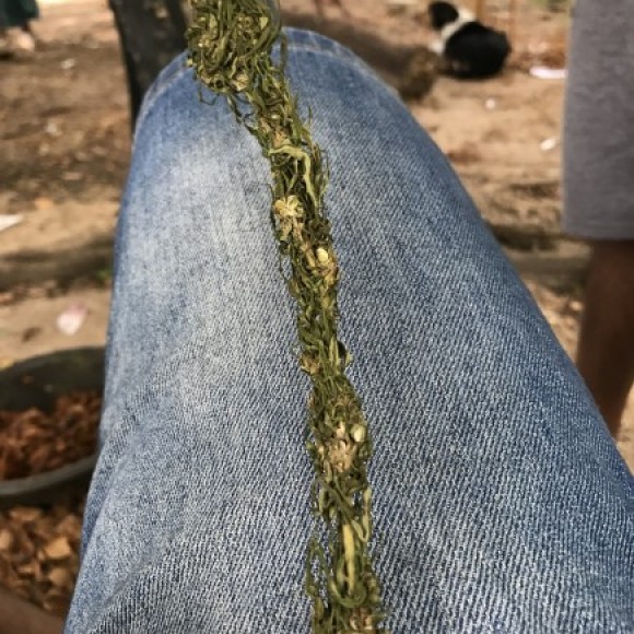 Profile picture of Sanjeewa Prabath