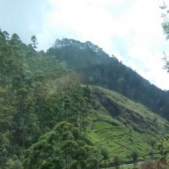 Profile photo of Ranasinghe
