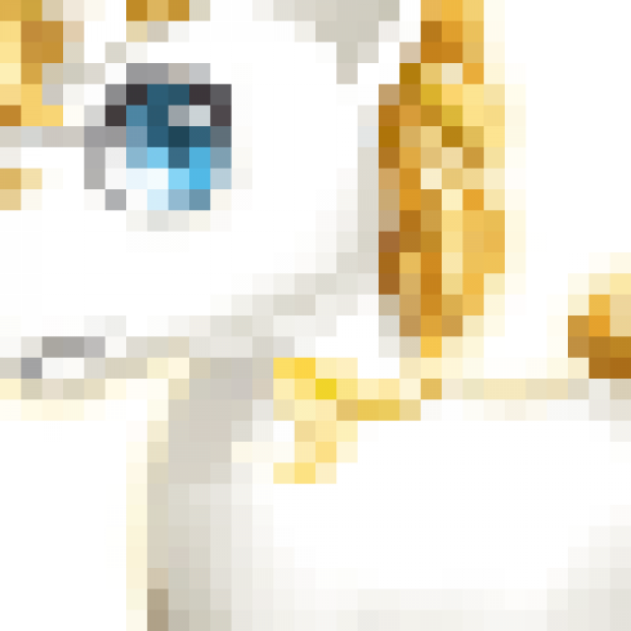 Profile picture of thilina De silva