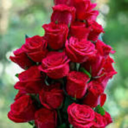 Profile photo of saminda bandara (male)