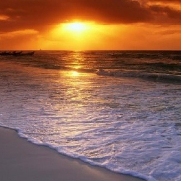 Profile picture of Nilantha Lakmal Rupasinghe