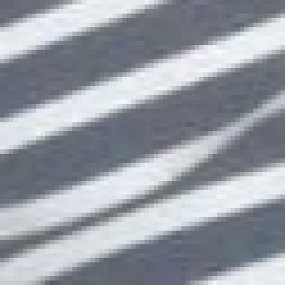 Profile photo of footslavedog