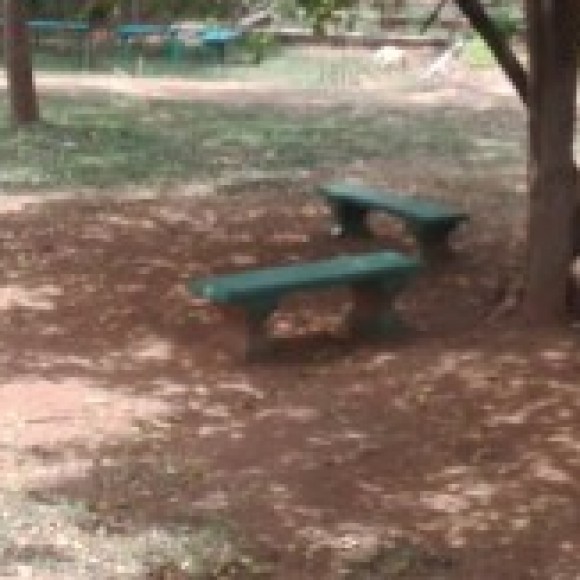 Profile picture of nirmal gunasiri