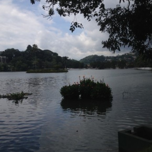 Profile picture of kasun-