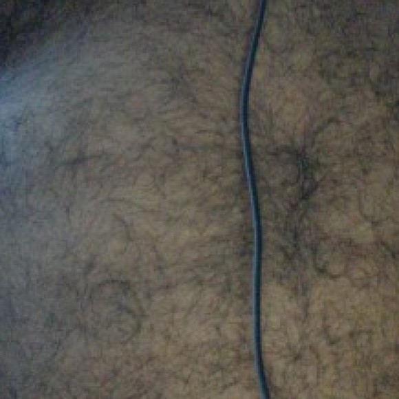 Profile photo of Raj