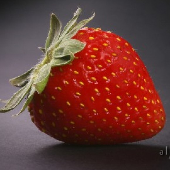 Profile picture of Chathura