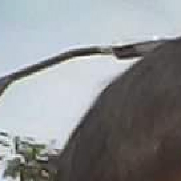 Profile picture of sahan Lakshitha