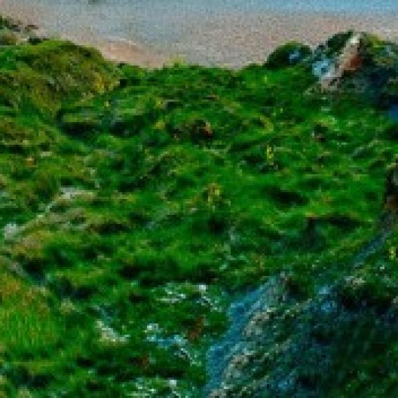 Profile picture of C perera