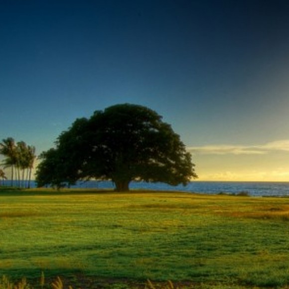 Profile photo of Ruwan