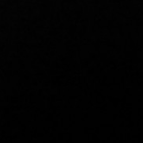 Profile photo of Nish