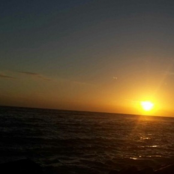 Profile photo of Roshan772810440