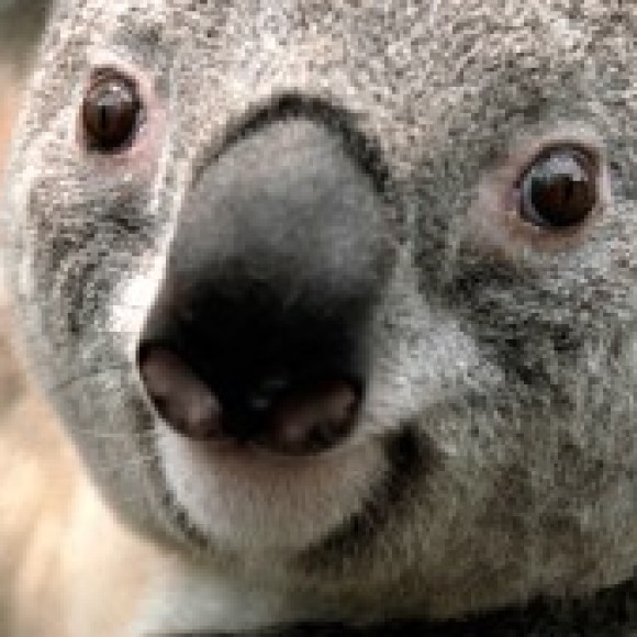 Profile photo of nadun bandara