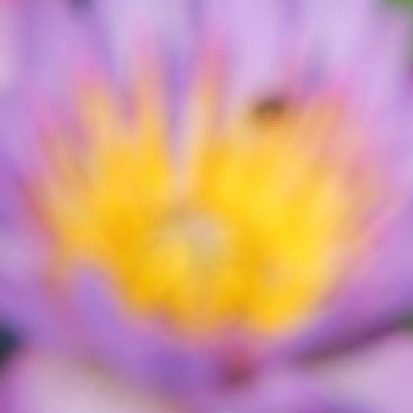 Profile picture of Liyanagedara Linga