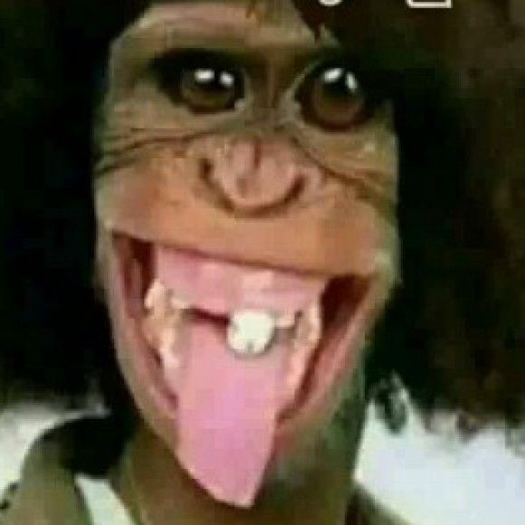 Profile photo of Tissa