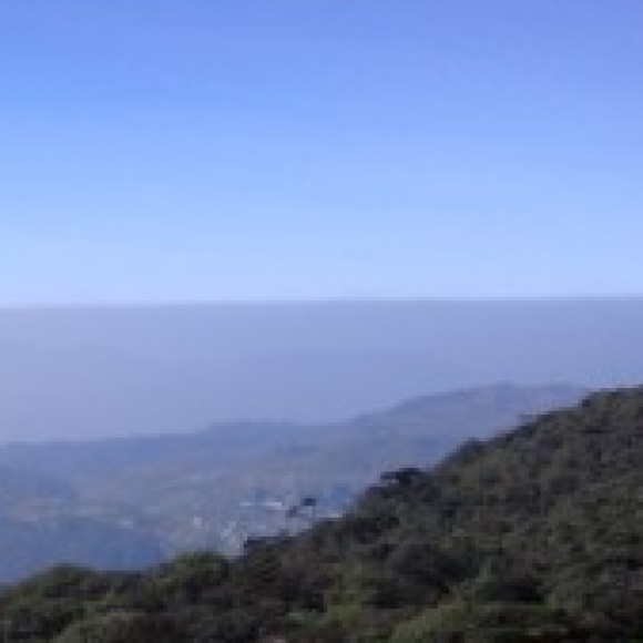 Profile photo of duyadinesh