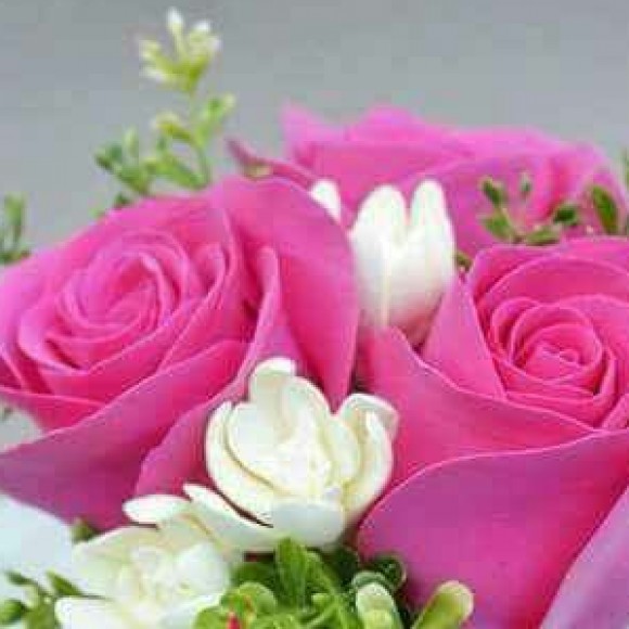 Profile picture of Samantha