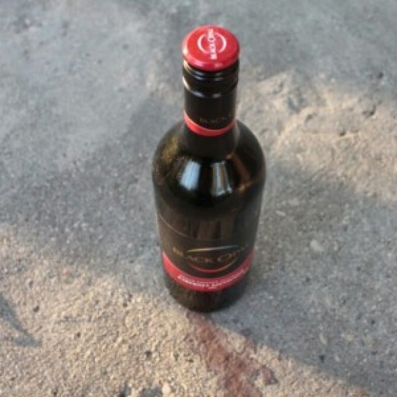 Profile photo of shane sasanka