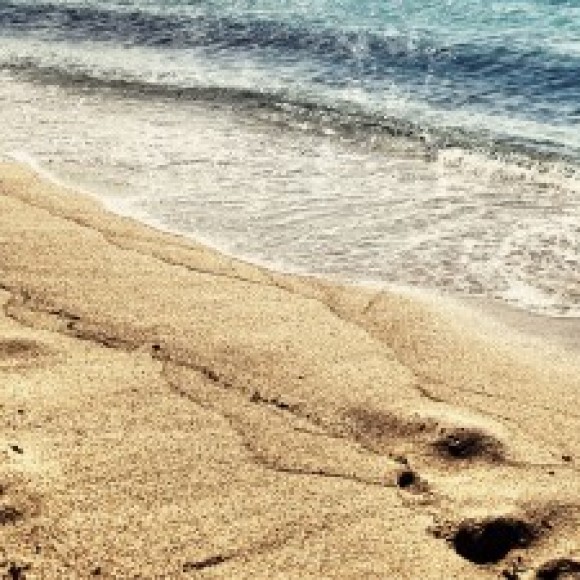 Profile photo of Chamila P